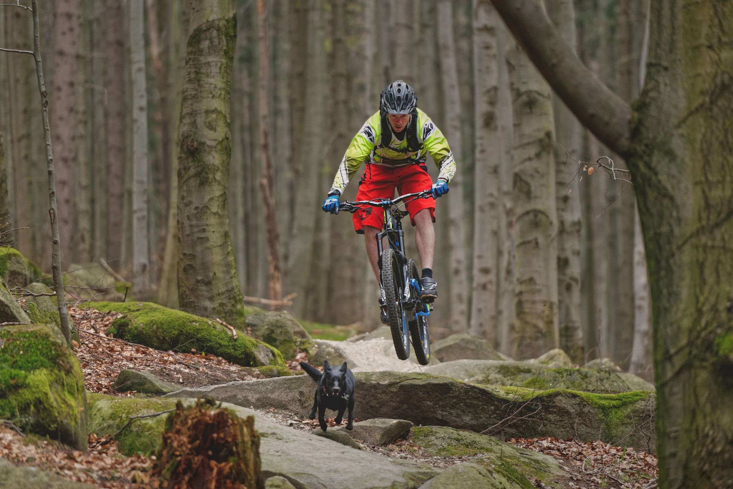 Bikepark Spičák