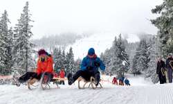 Sáňkařská dráha